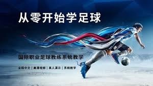 2026世界杯D组球队实力全面分析